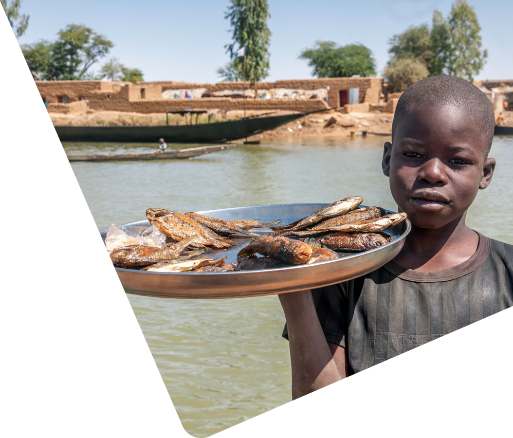 Niger-diamond