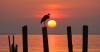 Heron perched on pilings near water