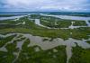 Louisiana delta