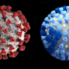 Using Flu Research Infrastructure to Understand COVID-19